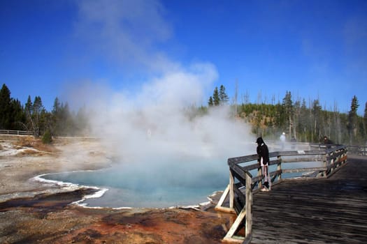 Yellowstone - West Thump Geyser Basin