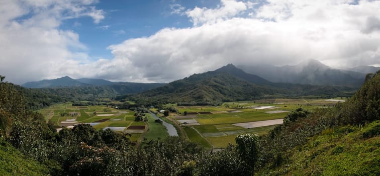 Hanalei Valley Landscape on Kauai