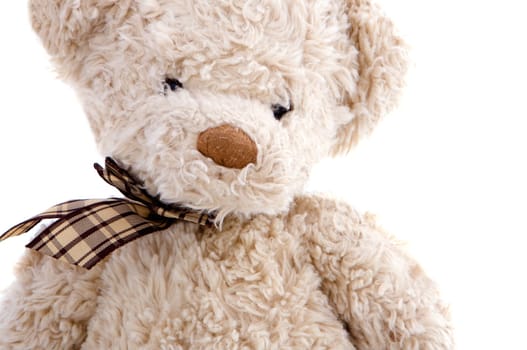 Brown teddy bear