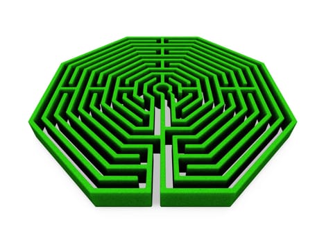 Maze