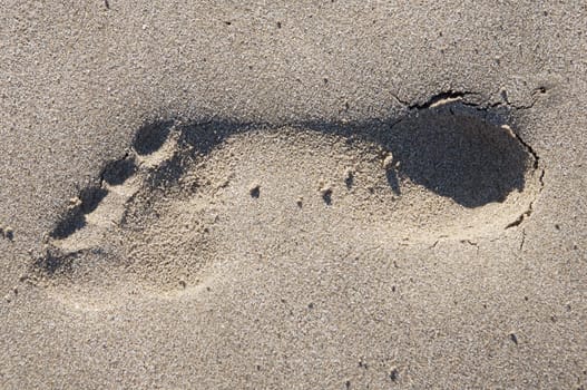 Footprint in the sand