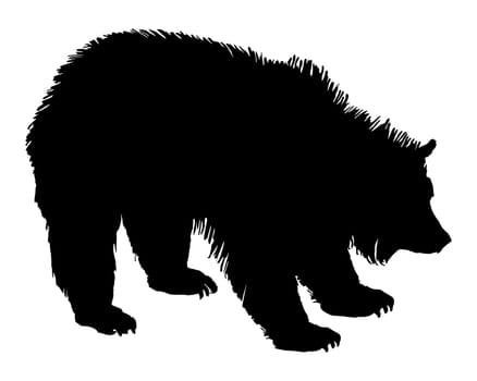 Grizzly