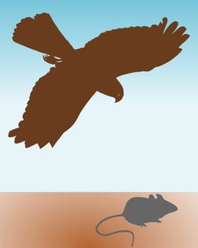 Birds of prey on the hunt for mice