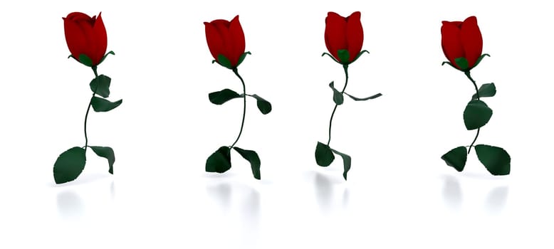 Running roses