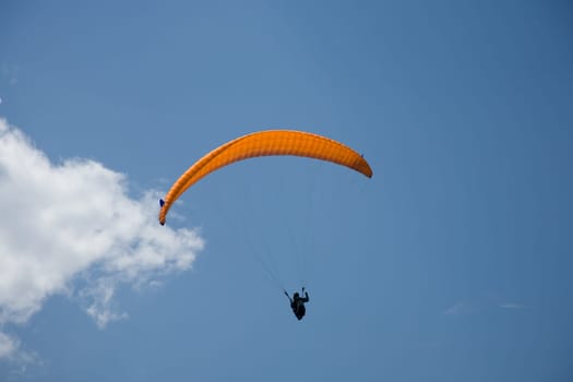 Paraglider