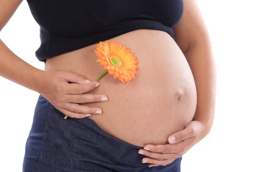 Pregnant whit flower