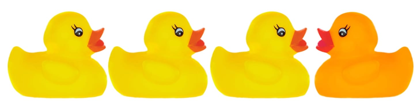 Plastic ducks