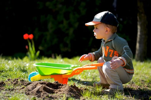 Little Gardener