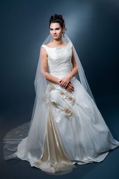 Bride in wedding dress