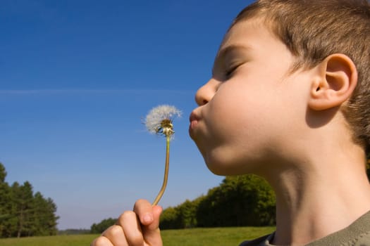 Young child blowing dandelion
