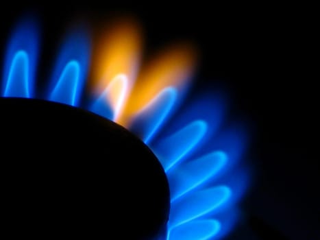 Gas stove
