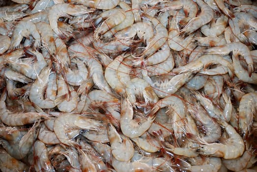 Raw prawns