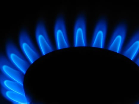 Gas stove