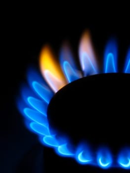 Gas stove