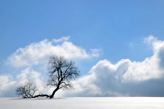 Winter's day in the Harz Mountains.
