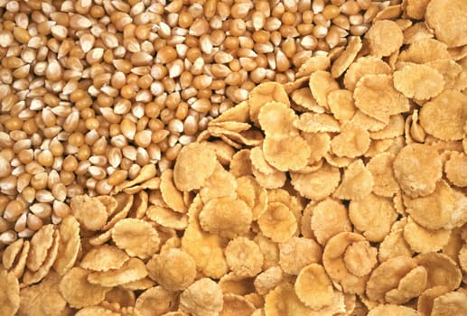 corn seeds and corn-flakes