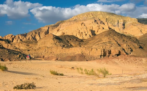 Desert Trip