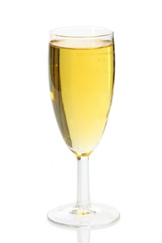 Champagne glass