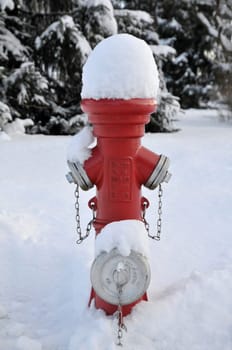 Hydrant in winter