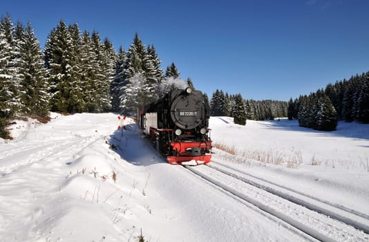 That's how beautiful a trip with the Harz narrow-gauge railway can be!