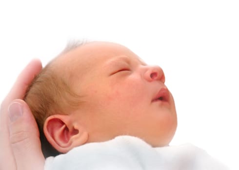 Newborn baby in father's hand