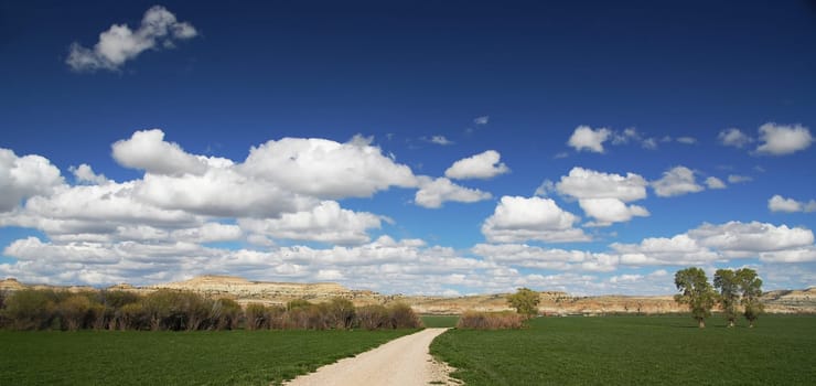 Vast Land