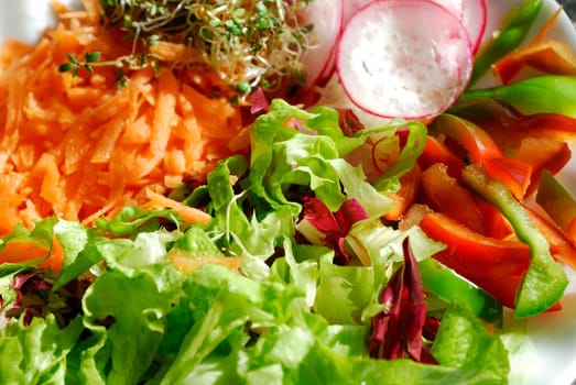Salad Plate 01