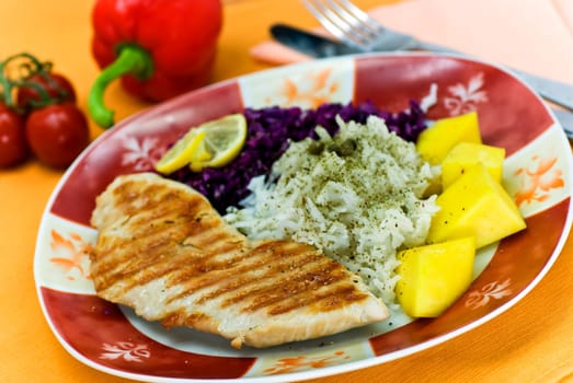 Grilled turkey breast