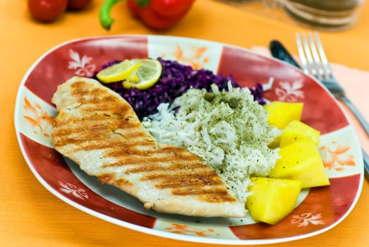 Grilled turkey breast