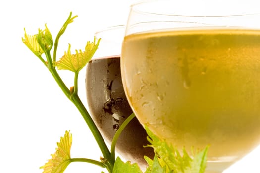 Red and white glass wine
