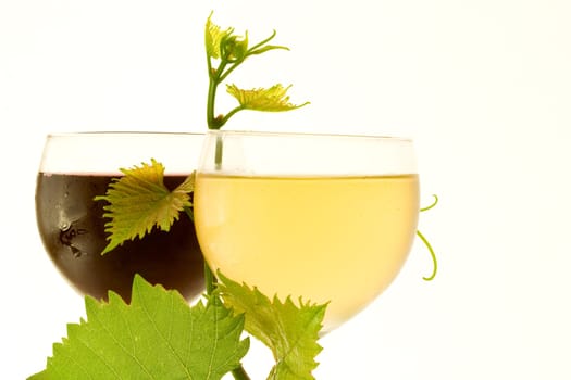 Red and white glass wine
