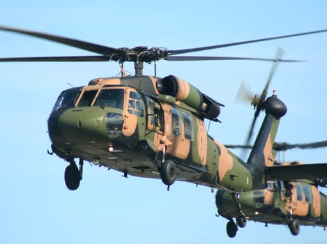 Blackhawk Choppers