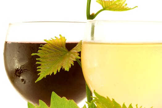 Red and white glass wine