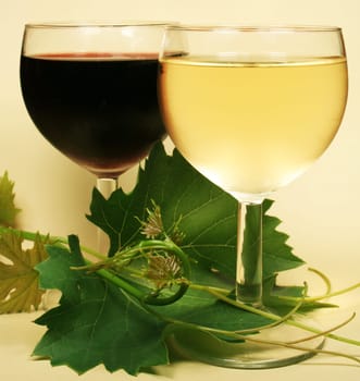 Red and white glass wine