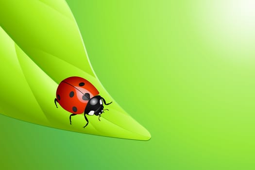 Ladybug on a leaf