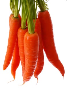 Carrots