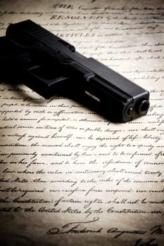 gun on constitution