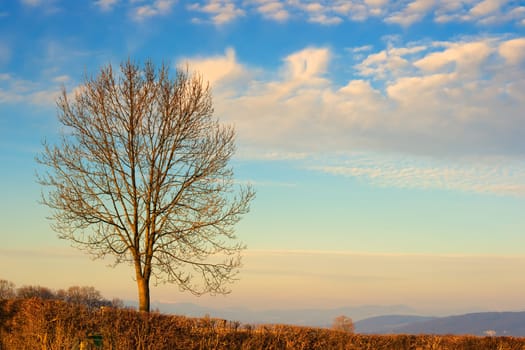 Spring in sight