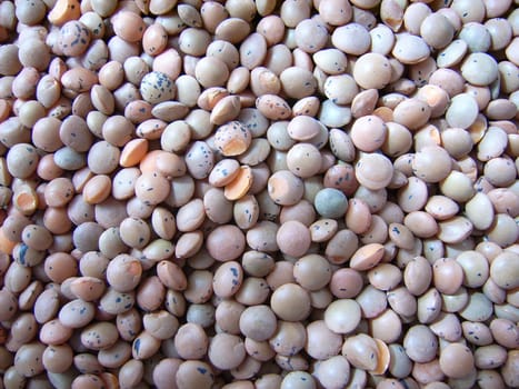 Mountain lentils