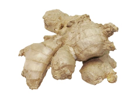 Ginger