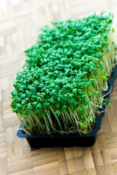 Fresh cress