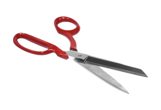 Tailor's scissors