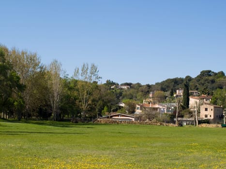 yellow field in front of trees and a village