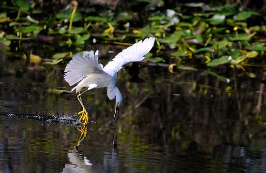 Fishing