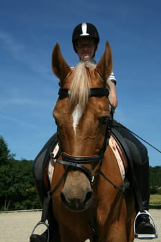 Rider