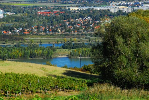 Danube Island The recreation of the Viennese