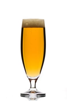 glass of beer