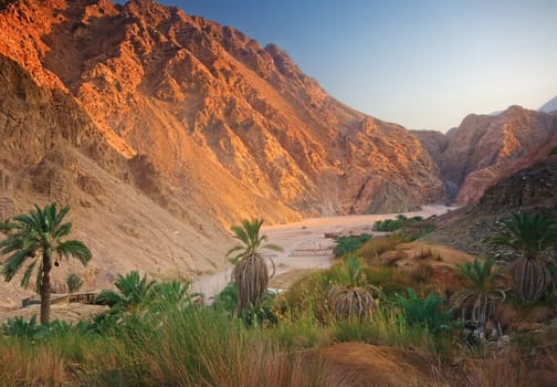The Wadi