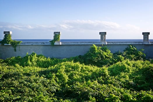 Abandoned Ruins White Wall and Columns