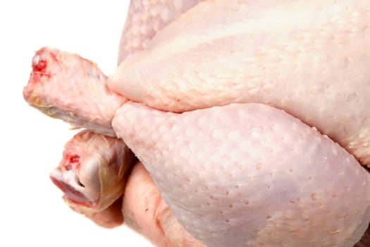 Skin of a raw chicken
